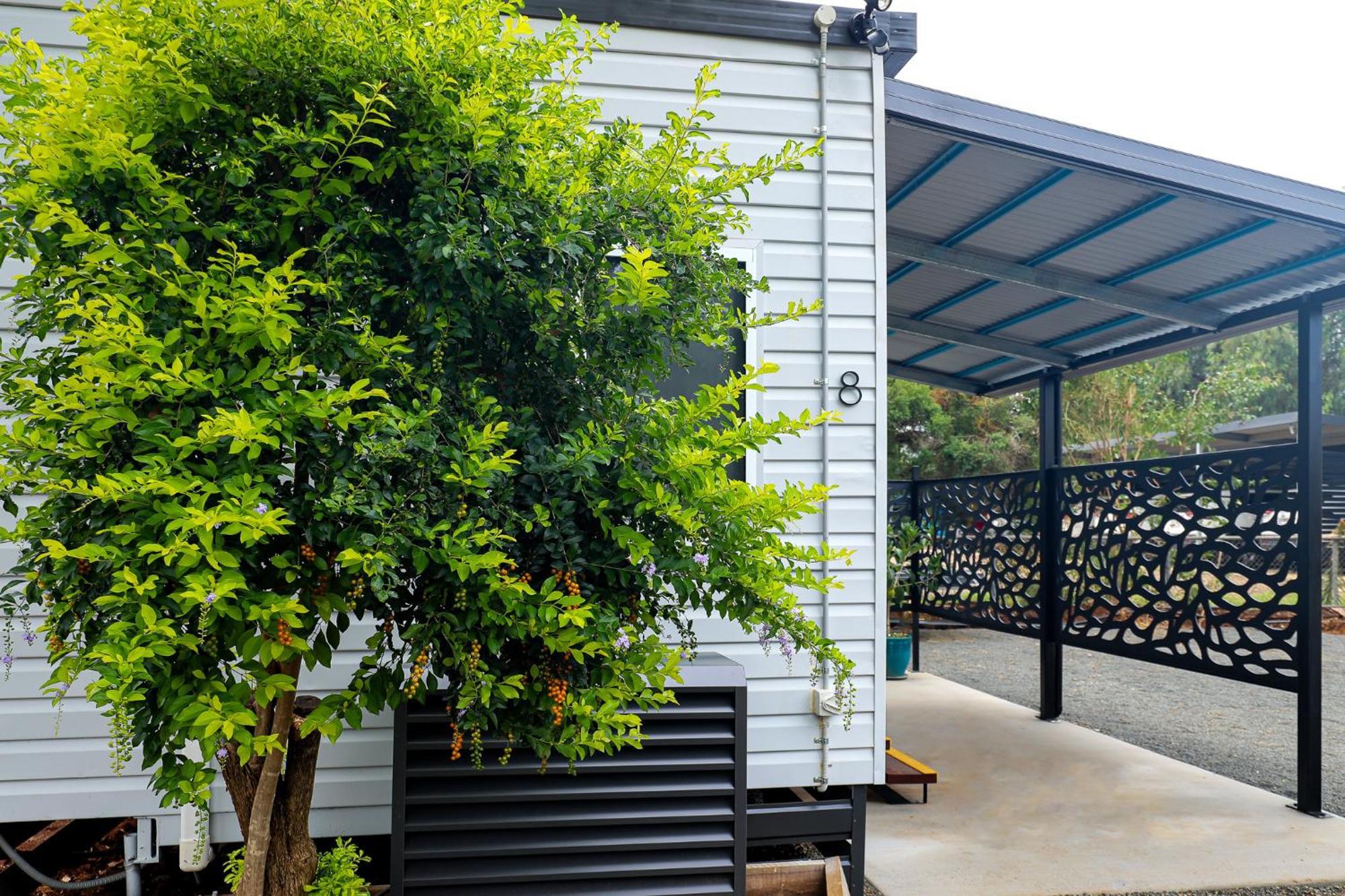 Kingaroy Holiday Park Esterno foto